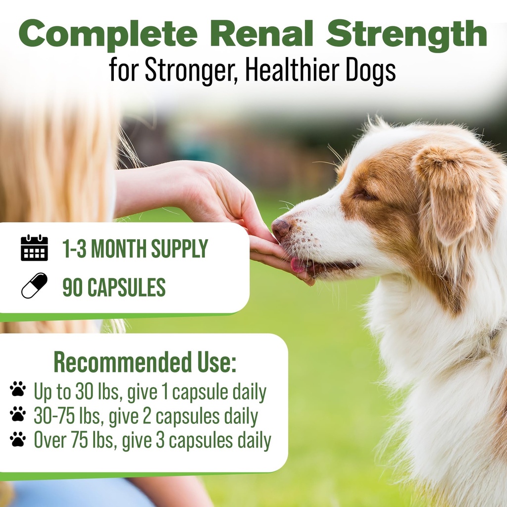 kidney-support-for-dogs-bladder-urinary--4.jpg