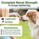 kidney-support-for-dogs-bladder-urinary--4.jpg