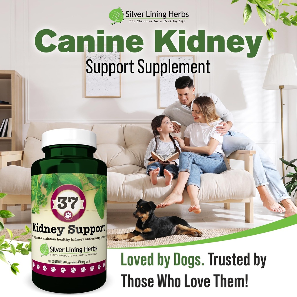 kidney-support-for-dogs-bladder-urinary--6.jpg