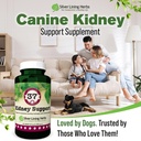 kidney-support-for-dogs-bladder-urinary--6.jpg