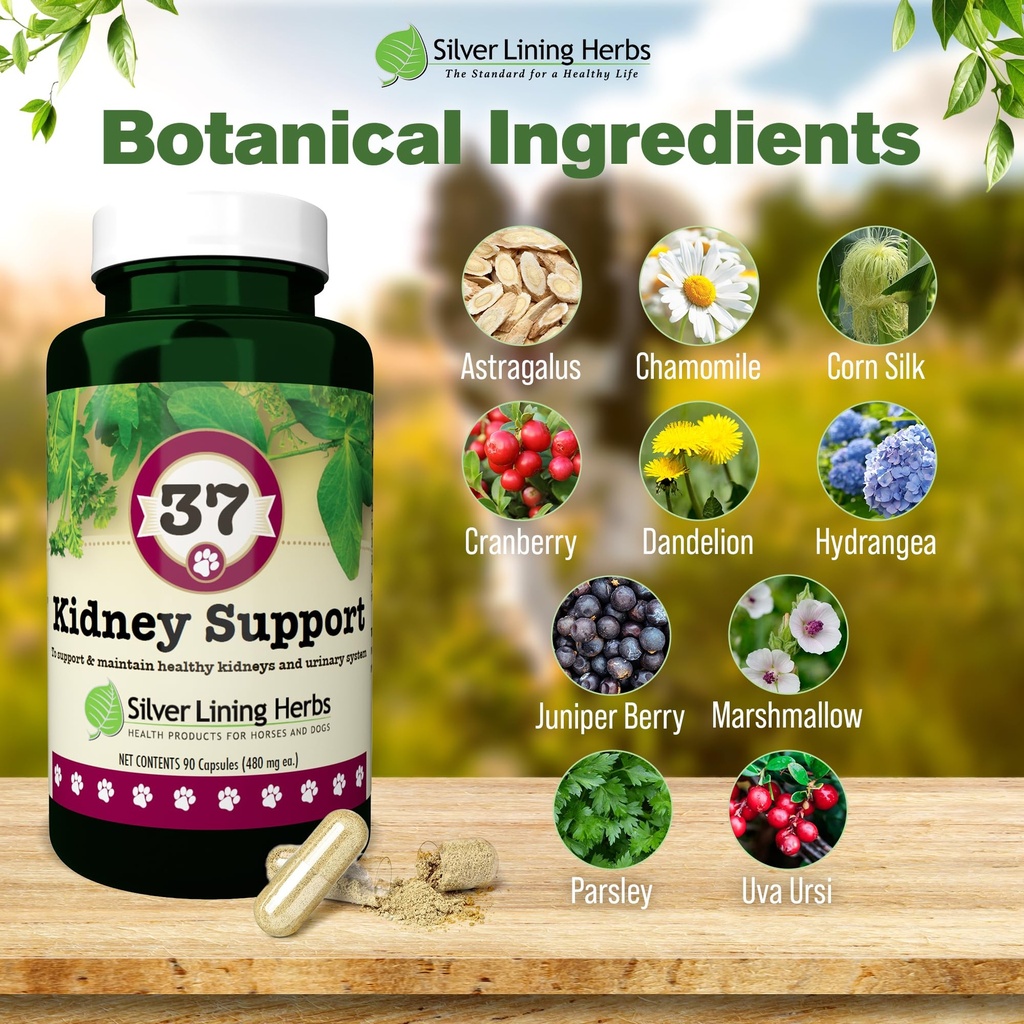 kidney-support-for-dogs-bladder-urinary--3.jpg