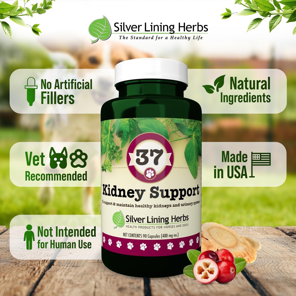 kidney-support-for-dogs-bladder-urinary--5.jpg