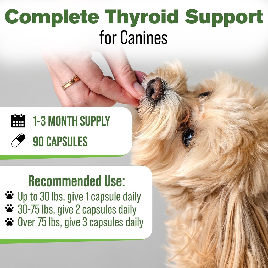 thyroid-support-for-dogs-90-capsules-thy-5.jpg