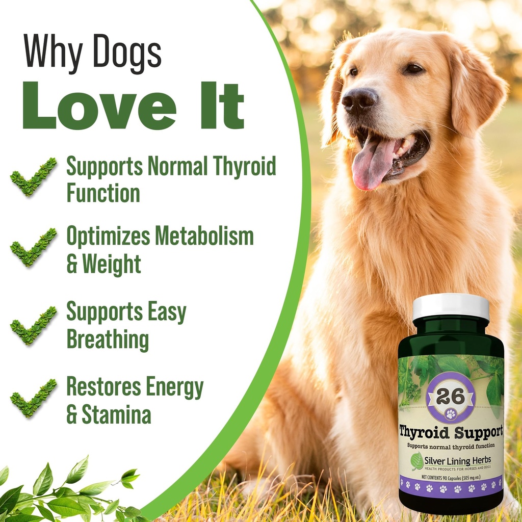 thyroid-support-for-dogs-90-capsules-thy-4.jpg