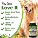 thyroid-support-for-dogs-90-capsules-thy-4.jpg