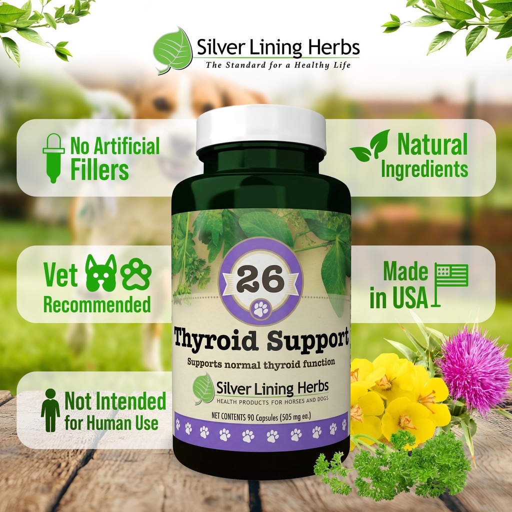 thyroid-support-for-dogs-90-capsules-thy-3.jpg