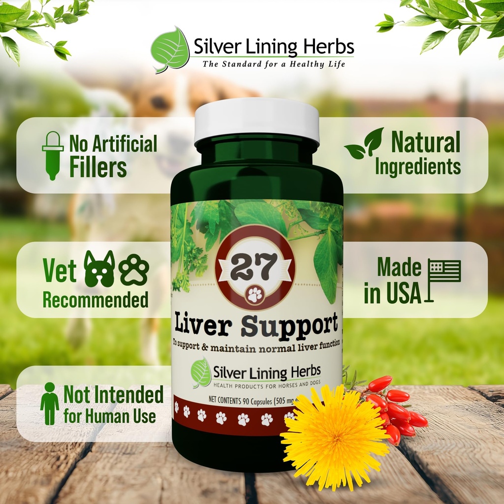 dog-liver-support-supplement-milk-thistl-5.jpg