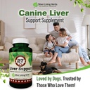 dog-liver-support-supplement-milk-thistl-6.jpg