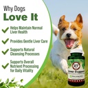 dog-liver-support-supplement-milk-thistl-2.jpg