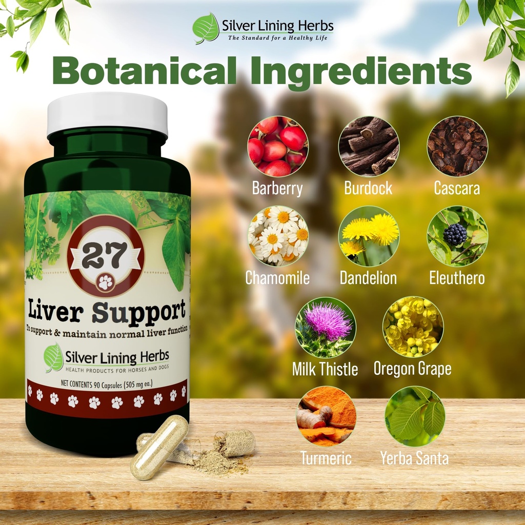 dog-liver-support-supplement-milk-thistl-3.jpg