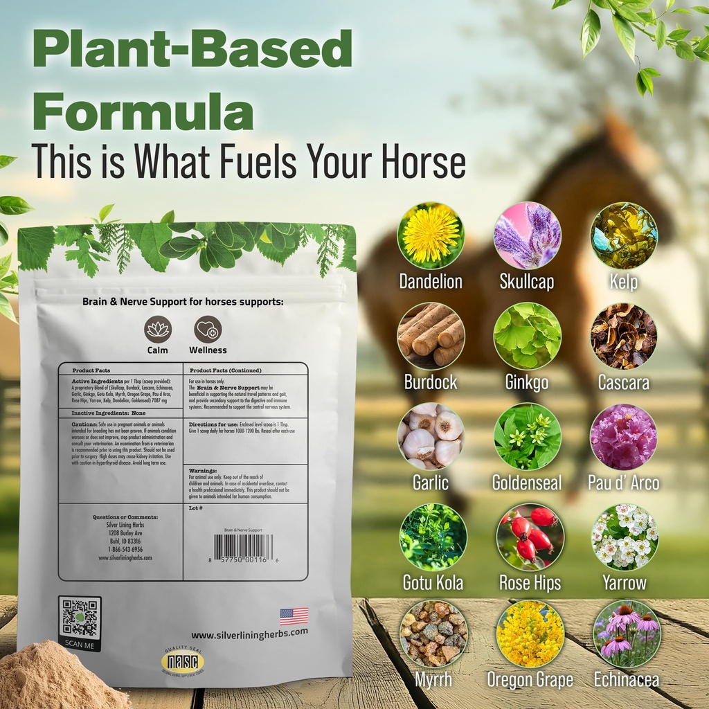 brain-nerve-support-supplement-horses-1--3.jpg