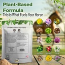 brain-nerve-support-supplement-horses-1--3.jpg