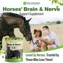 brain-nerve-support-supplement-horses-1--6.jpg