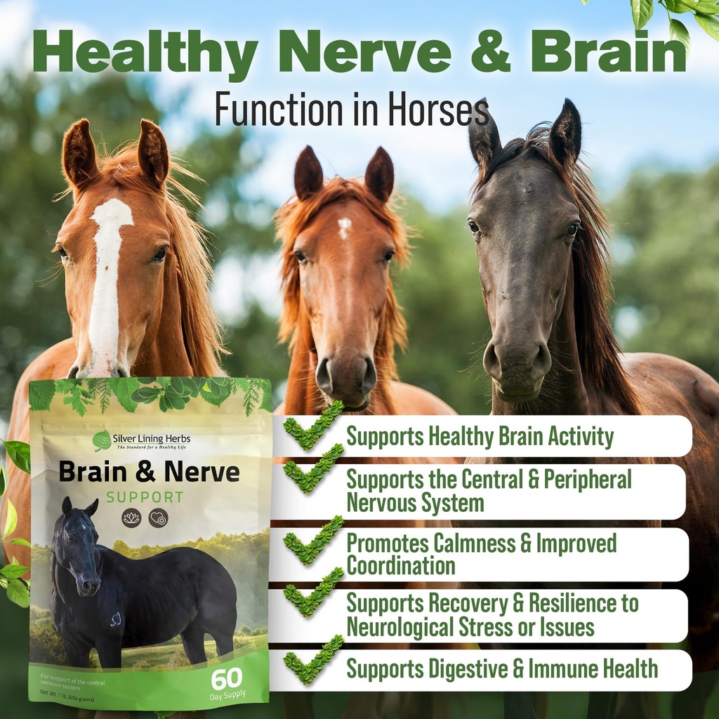 brain-nerve-support-supplement-horses-1--2.jpg