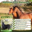 gut-support-supplement-for-horses-1-lb-g-2.jpg