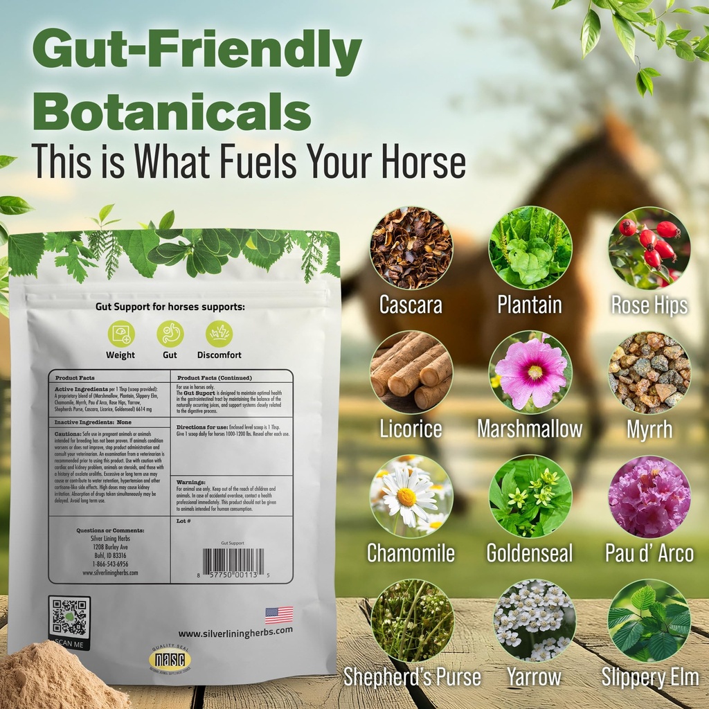 gut-support-supplement-for-horses-1-lb-g-3.jpg