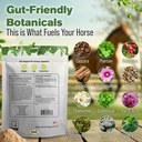 gut-support-supplement-for-horses-1-lb-g-3.jpg