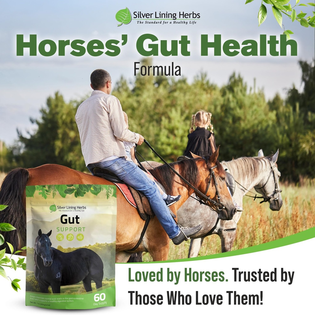 gut-support-supplement-for-horses-1-lb-g-6.jpg