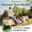 gut-support-supplement-for-horses-1-lb-g-6.jpg