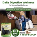 gut-support-supplement-for-horses-1-lb-g-4.jpg