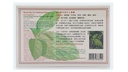 hysan-3-boxes-hua-tuo-medicated-plaster--2.jpg
