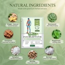 mugwort-herbal-pain-relief-patches-72-pa-6.jpg