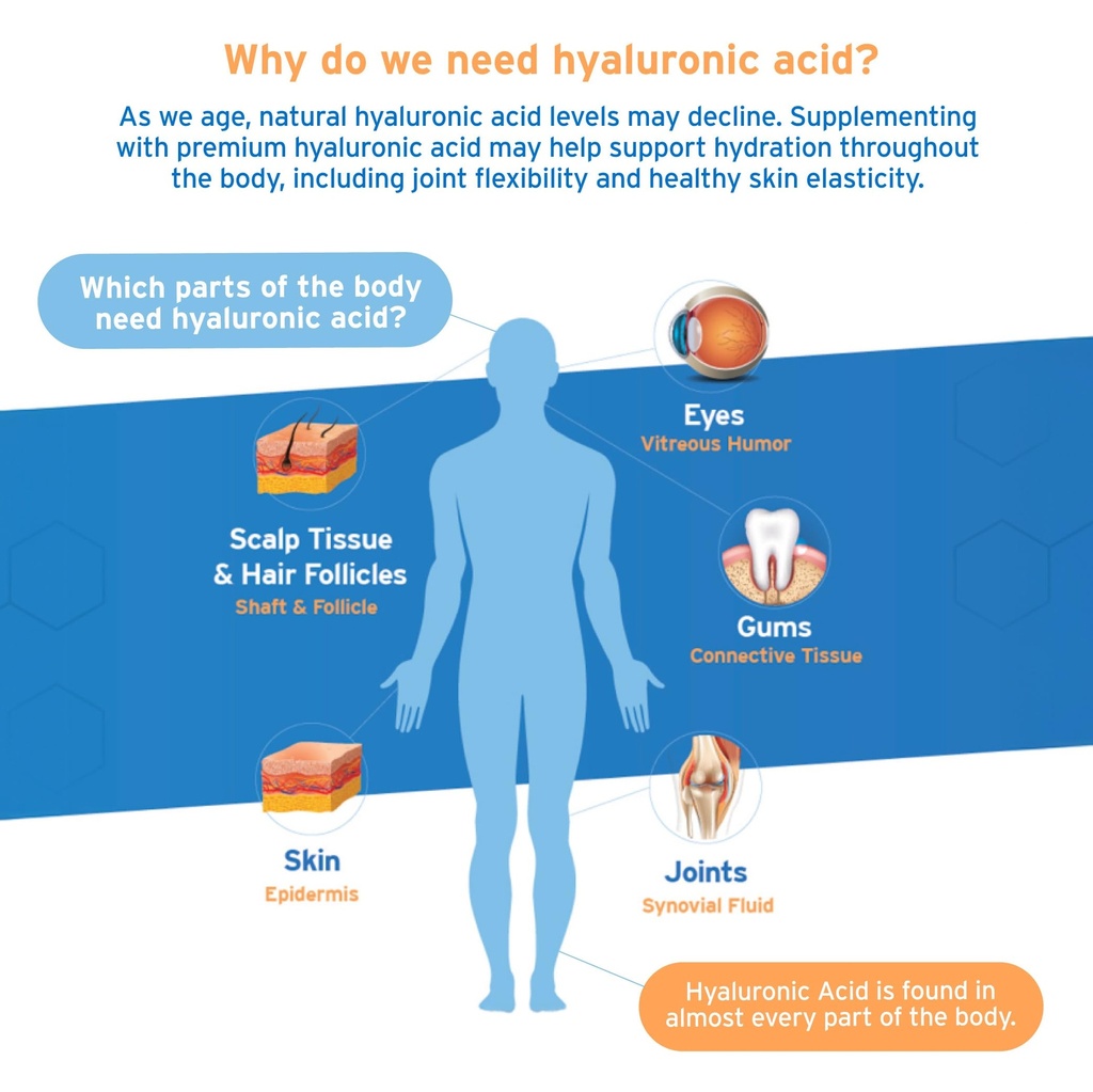 hyalogic-synthovial-seven-hyaluronic-aci-2.jpg