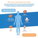 hyalogic-synthovial-seven-hyaluronic-aci-2.jpg