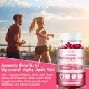 3-pack-liposomal-alpha-lipoic-acid-gummi-5.jpg