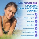 softbear-liposomal-alpha-lipoic-acid-gum-6.jpg