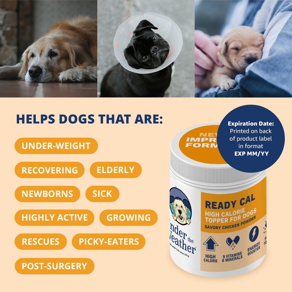 under-the-weather-ready-cal-powder-for-d-4.jpg