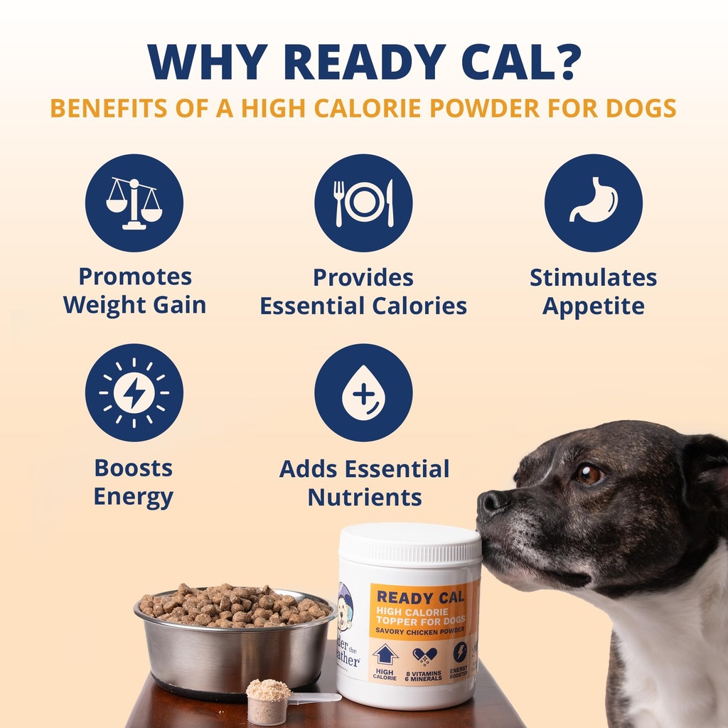 under-the-weather-ready-cal-powder-for-d-2.jpg