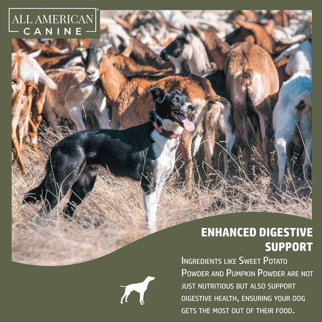 all-american-canine-dog-weight-gainer-di-6.jpg
