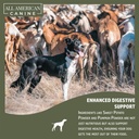 all-american-canine-dog-weight-gainer-di-6.jpg