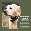 all-american-canine-dog-weight-gainer-di-5.jpg