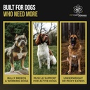 5-pounds-302-servings-of-dog-weight-gain-5.jpg