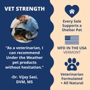 under-the-weather-pet-electrolytes-ready-5.jpg