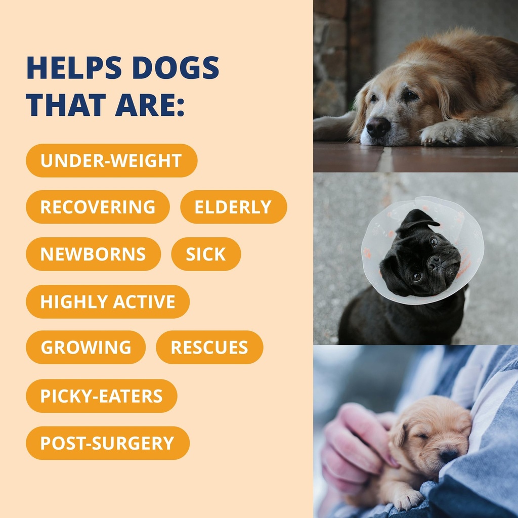 under-the-weather-pet-electrolytes-ready-4.jpg