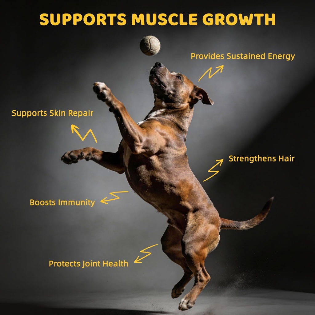 4-in-1-muscle-gain-chews-for-dogs-high-p-3.jpg