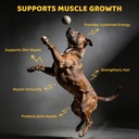 4-in-1-muscle-gain-chews-for-dogs-high-p-3.jpg