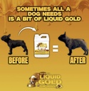 dog-weight-gainer-bulk-buddy-liquid-gold-3.jpg