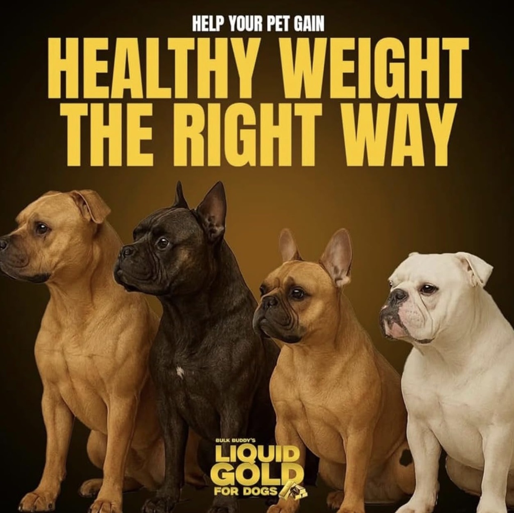 dog-weight-gainer-bulk-buddy-liquid-gold-6.jpg