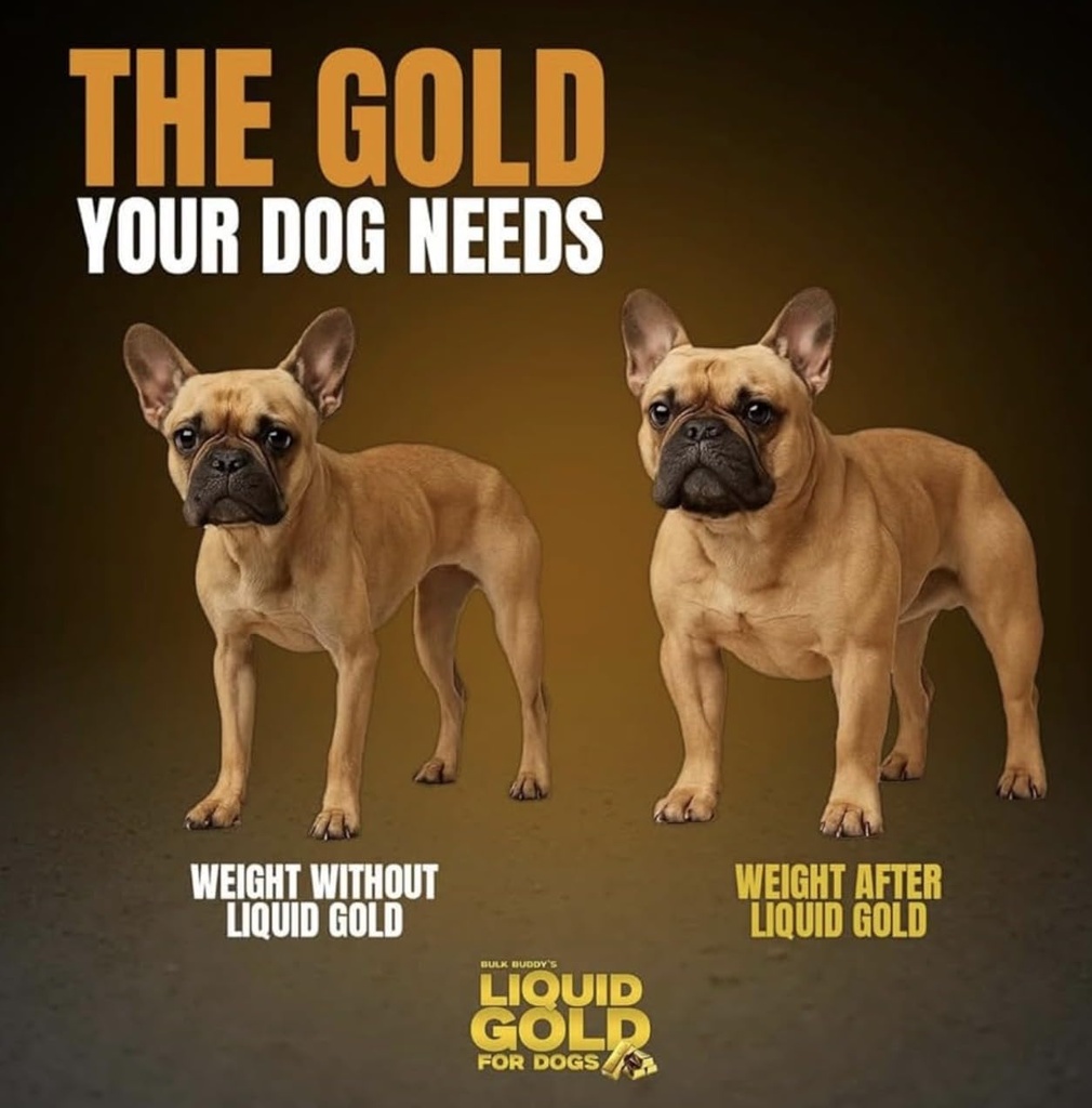 dog-weight-gainer-bulk-buddy-liquid-gold-2.jpg