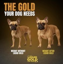dog-weight-gainer-bulk-buddy-liquid-gold-2.jpg