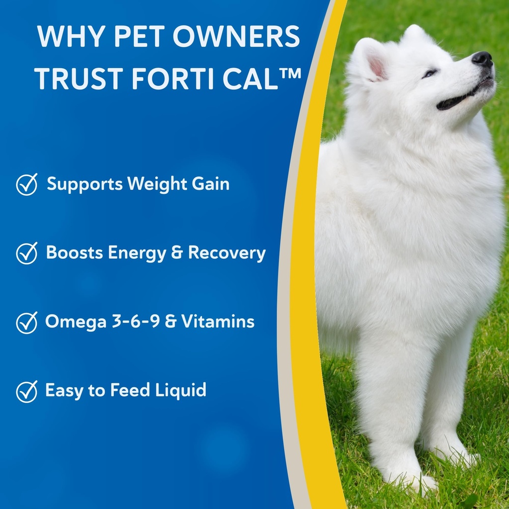 doc-roy-s-forti-cal-liquid-energy-supple-2.jpg