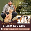 all-american-canine-dog-weight-gainer-po-4.jpg