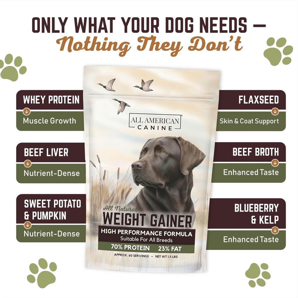 all-american-canine-dog-weight-gainer-po-3.jpg