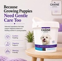 canine-creek-pup-booster-puppy-weaning-d-6.jpg