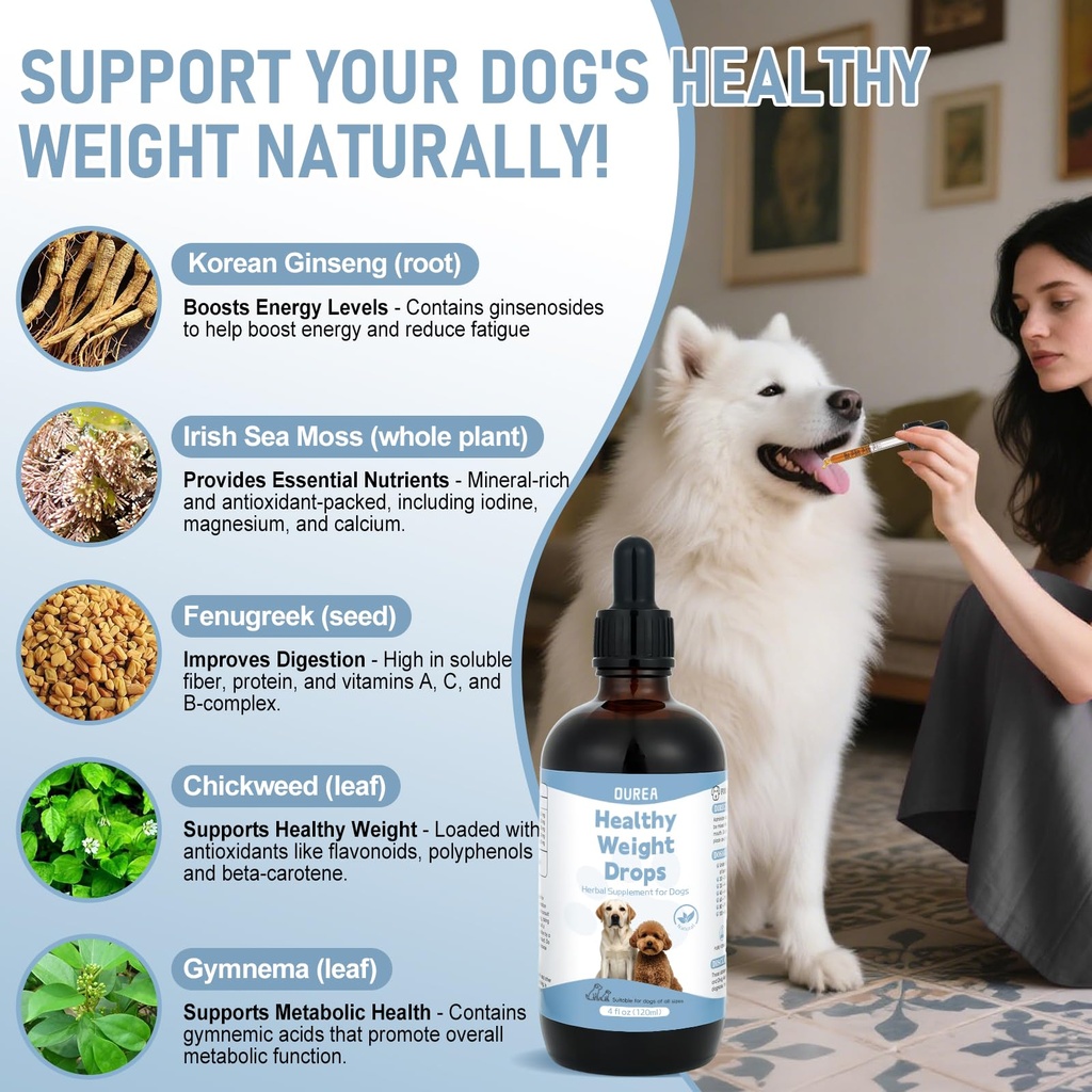 weight-management-drops-for-dogs-effecti-2.jpg
