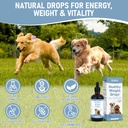 weight-management-drops-for-dogs-effecti-5.jpg